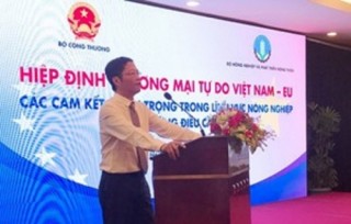 Hỗ trợ DN ngành nông nghiệp tận dụng tốt các ưu đãi từ EVFTA