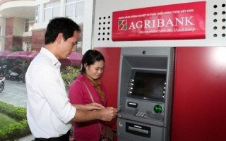 Agribank đẩy mạnh thanh toán không dùng tiền mặt tại thị trường nông nghiệp, nông thôn