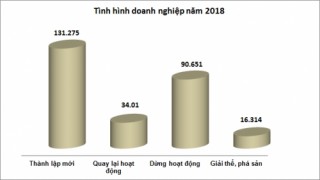 Đăng ký doanh nghiệp 2018: Tăng trưởng cao mà sao vẫn khó