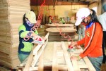 DNNVV khó thuê đất sản xuất kinh doanh