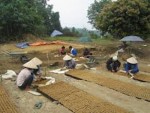 Công bố Top 50 và 300 DN tuyển dụng hàng đầu Việt Nam