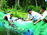 Cá tra trước nhu cầu thanh lọc