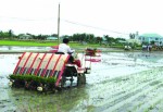 Cơ giới hóa nông nghiệp: Phụ thuộc máy ngoại