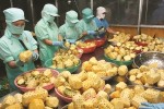 Đầu tư vào nông nghiệp: Doanh nghiệp kêu đuối sức
