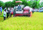 Công nghệ cho nông nghiệp: Lựa chọn cần hợp với Việt Nam