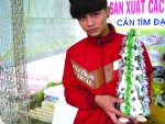 Tín dụng chính sách hỗ trợ DN xã hội