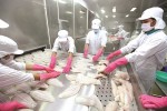 Giá xăng dầu giảm tạo động lực cơ cấu giá thành