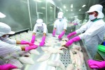 Cơ hội cơ cấu lại kinh doanh