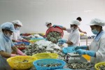 Kịch bản xuất khẩu thủy sản 2013