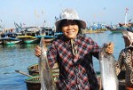 Quảng Nam: Đầu xuân, mỗi ngư dân gặt hái trên 1,5 triệu đồng/đêm