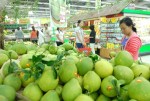 Kỳ vọng con số 1 tỷ USD
