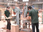 Thách thức phát triển lâm nghiệp bền vững