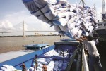 Xuất khẩu gạo 2014: Kỳ vọng ở thị trường châu Phi
