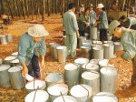 Nghiên cứu, đánh giá đặc điểm tình hình thị trường hàng hóa