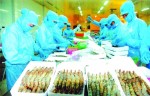 Xuất khẩu nông thủy sản dồi dào đơn hàng