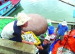 Rộn ràng mở biển đầu năm