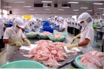 Cảnh báo về việc sử dụng phụ gia E500/501 trong cá tra philê