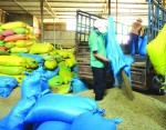 Ngân hàng đầu tư kho trữ cà phê