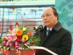 Khởi công dây chuyền sản xuất gỗ 120.000 m3/năm
