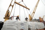 Thóc, gạo nhập khẩu theo hạn ngạch từ Lào có thuế suất bằng 0%