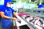 Tính chuyện thu lợi từ chế biến sâu