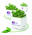 Doanh nghiệp phải lấy sản xuất làm gốc