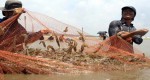 Cà Mau: nguyên liệu thủy sản thiếu trầm trọng, nhiều nhà máy buộc phải nhập khẩu