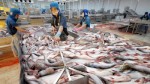 Tổng Thư ký VASEP: Cá tra VN bị áp mức thuế trừng phạt!