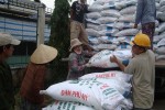 Giá phân bón đã bị thao túng như thế nào?