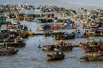 Liên kết để phát triển