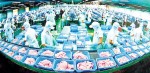 Cá tra sẽ sớm trở lại thị trường Nga