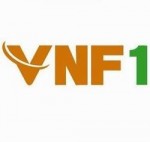 Tổng công ty Lương thực miền Bắc là DN 100% vốn nhà nước