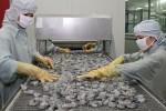 ĐBSCL phấn đấu đạt 2,55 tỷ USD kim ngạch xuất khẩu tôm