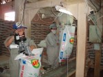 Thức ăn chăn nuôi lao đao vì cúm gia cầm