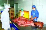 Hỗ trợ vốn cho DN thủy sản