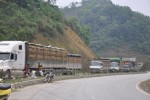 Dưa hấu ùn tắc ở cửa khẩu Tân Thanh