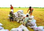 Triển khai chậm làm “hỏng” chính sách