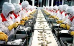 VCCI: Năng lực sử dụng nguồn vốn của các doanh nghiệp đang có xu hướng giảm