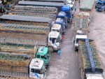 Dưa hấu ế và lời giải cho nỗi lo chu kỳ