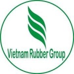 Tập đoàn Cao su được đầu tư, kinh doanh KCN trên đất cao su chuyển đổi