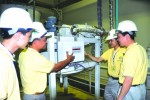 Thị trường thức ăn chăn nuôi:  Sức ép đang lên với doanh nghiệp Việt