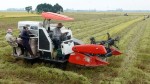 Khi nông dân có chung lợi ích