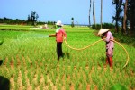 Kéo điện lưới lên đảo Lý Sơn