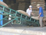 Lối thoát nào cho doanh nghiệp nông nghiệp?