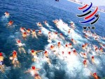 Chủ động “nắm đằng chuôi”