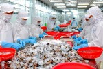 Ngành tôm dễ rơi vào kịch bản kém khả quan