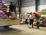 Cơ hội liên thông với thị trường thế giới