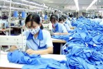 Xuất khẩu chậm, doanh nghiệp quay về nội địa