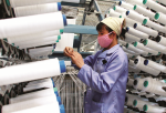 Chính sách hối thúc, doanh nghiệp vẫn đủng đỉnh