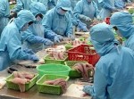 Australia và Canada cảnh báo chất lượng thuỷ sản Việt Nam